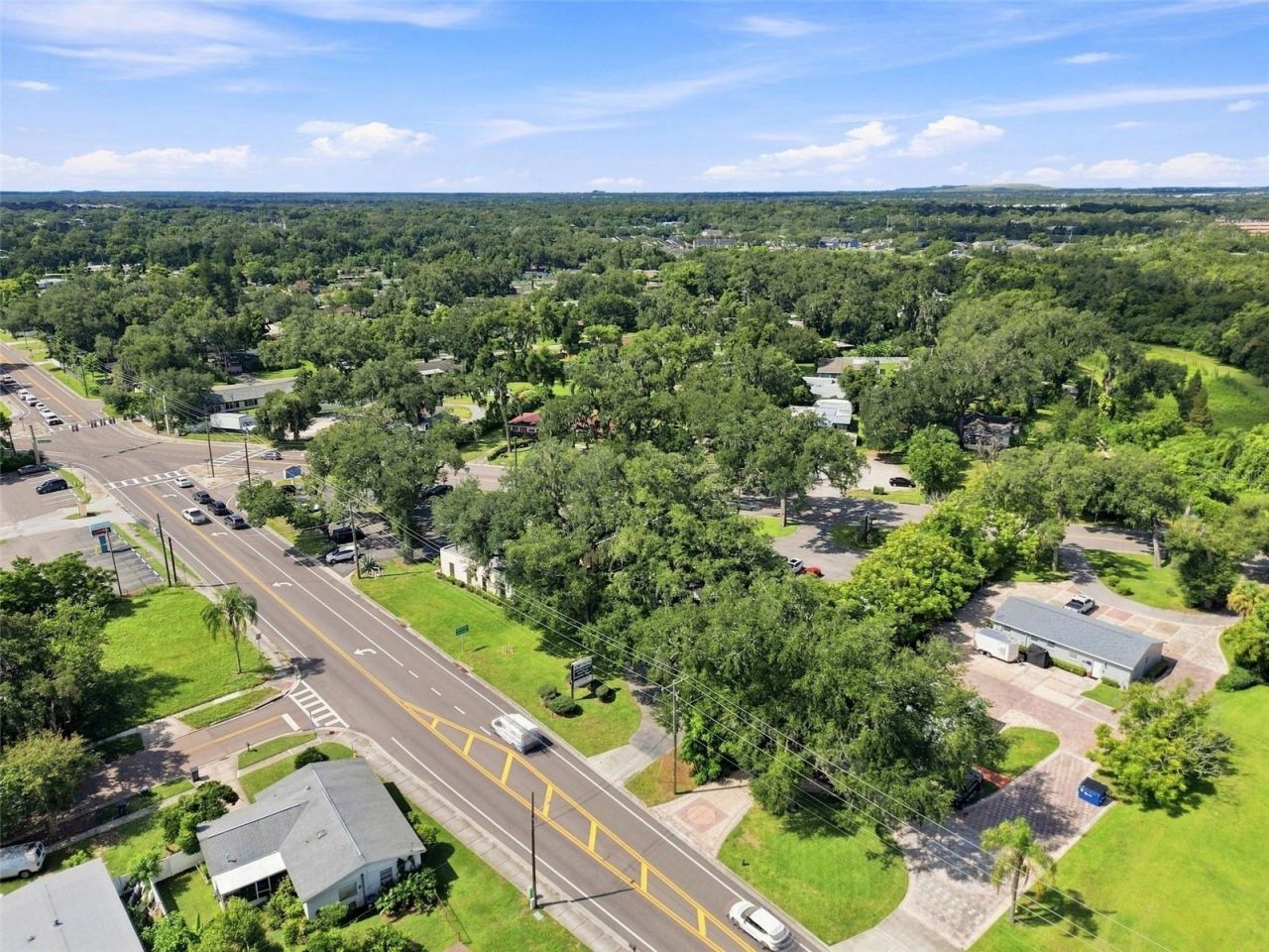 223 Lithia Pinecrest Road, Brandon, FL 33511 Photo