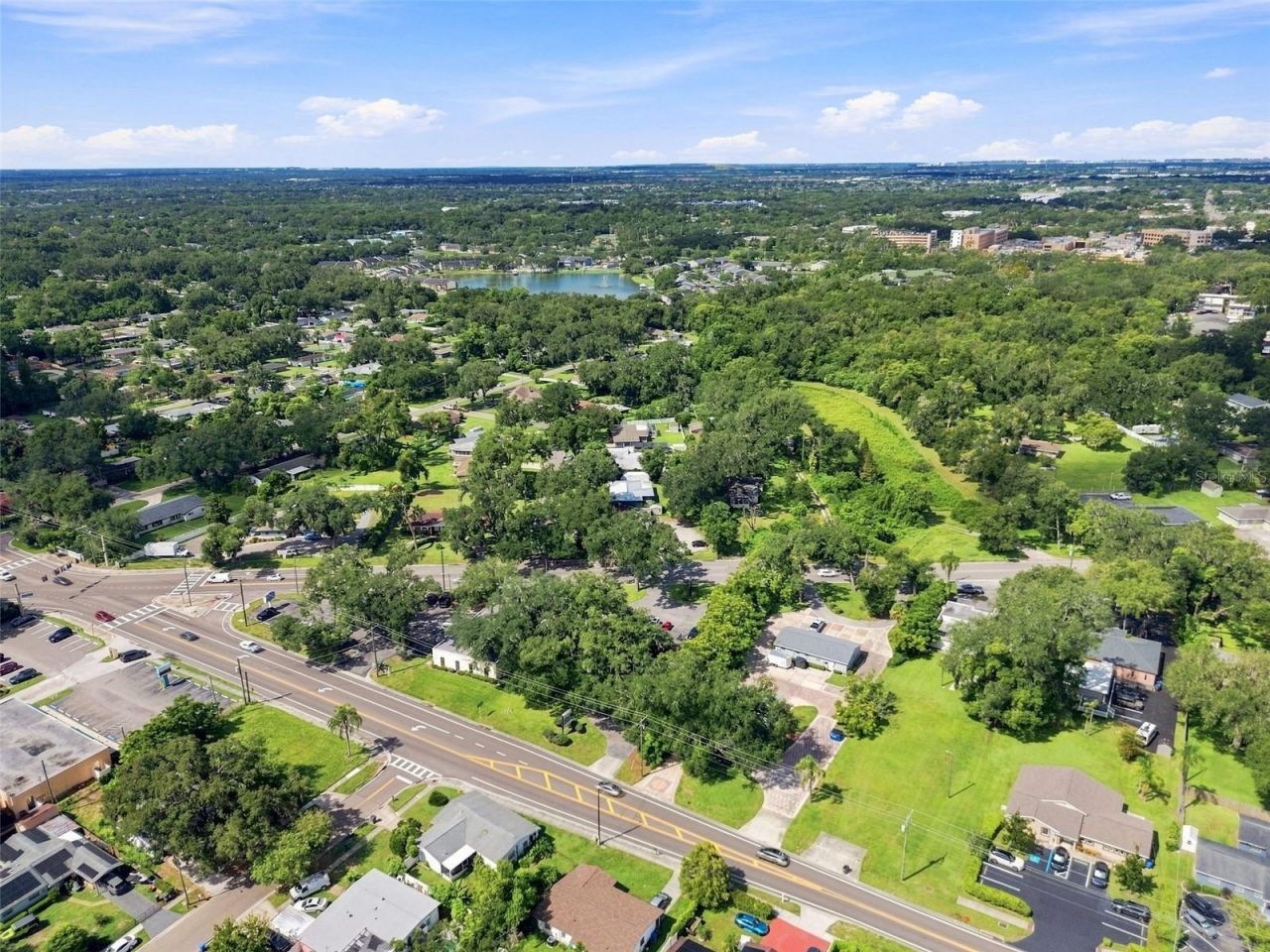 223 Lithia Pinecrest Road, Brandon, FL 33511 Photo