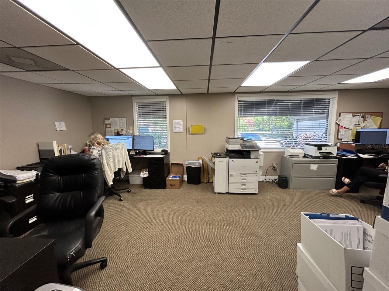 223 Lithia Pinecrest Road, Brandon, FL 33511 Photo