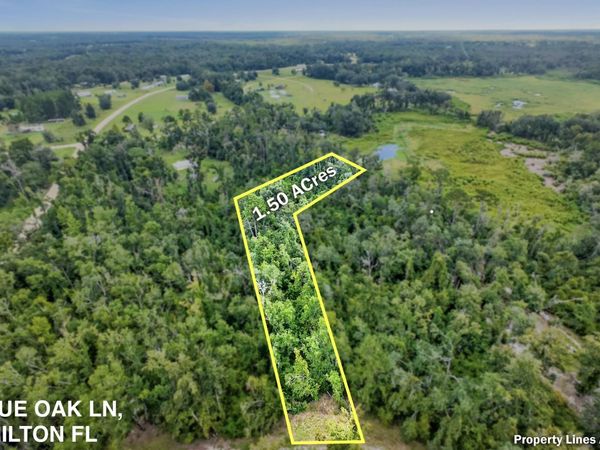 Vacant NW Blue Oak Lane , Jennings, FL 32053