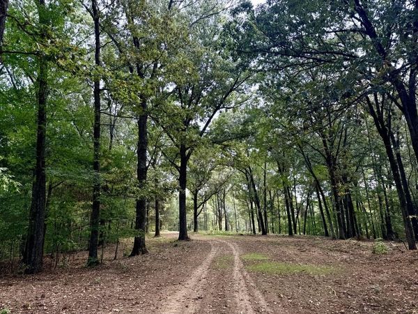 11 ANTWINE RD, Gadsden, TN 38337