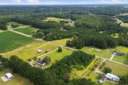 1212 Nursery Rd. photo 4