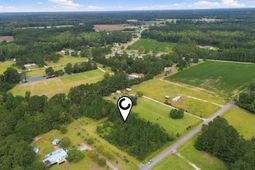 1212 Nursery Rd. photo 4