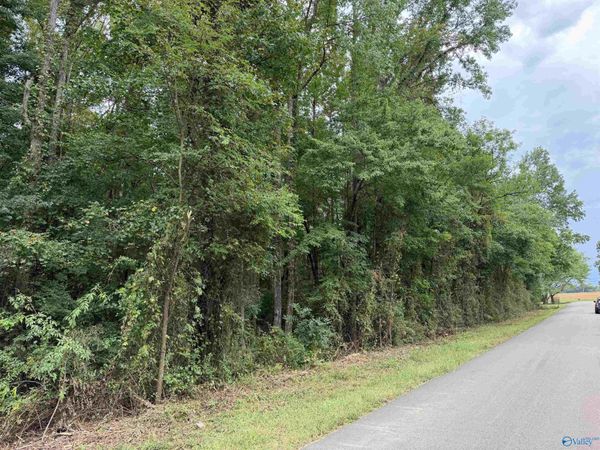 Lot 23 Townsend Road, Hazel Green, AL 35750
