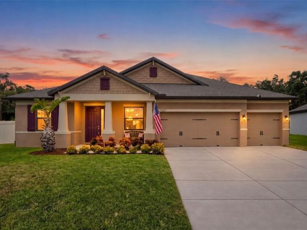 11020 BRAHMAN RANCH CIRCLE, RIVERVIEW, FL 33578