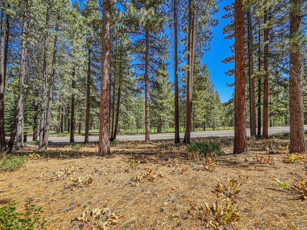 139 Basque , Truckee, CA 96161