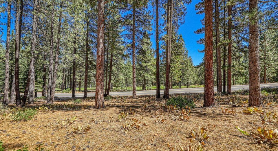 139 Basque , Truckee, CA 96161 Photo