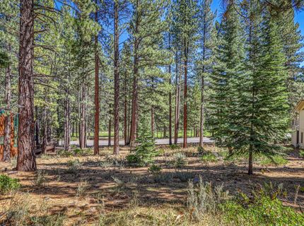 139 Basque , Truckee, CA 96161 Photo