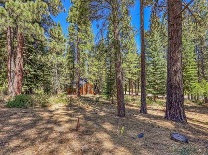 139 Basque , Truckee, CA 96161 Photo
