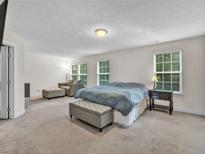 2711 Palmer Lane, Avon, OH 44011 Photo 22