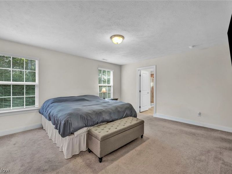 2711 Palmer Lane, Avon, OH 44011 Photo 23