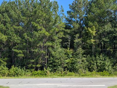 0 Prices Bridge Lane, Walterboro, SC 29488