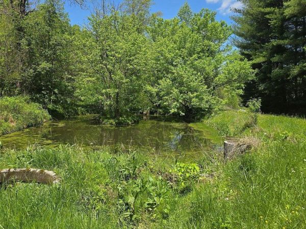 Lot 4-6 Dooley Hollow Rd, Ewing, VA 24248