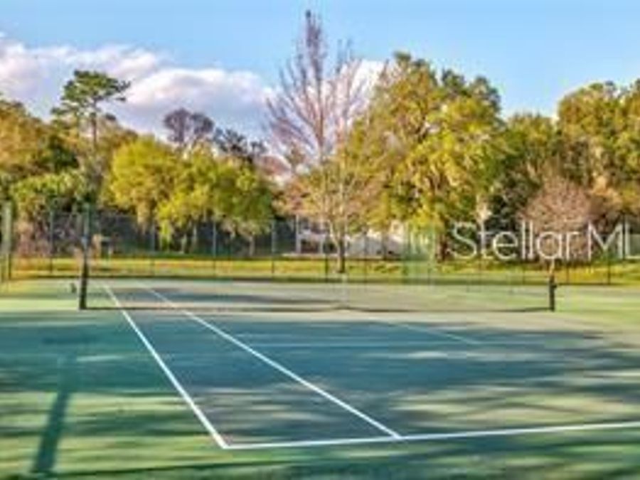 Property Image 59