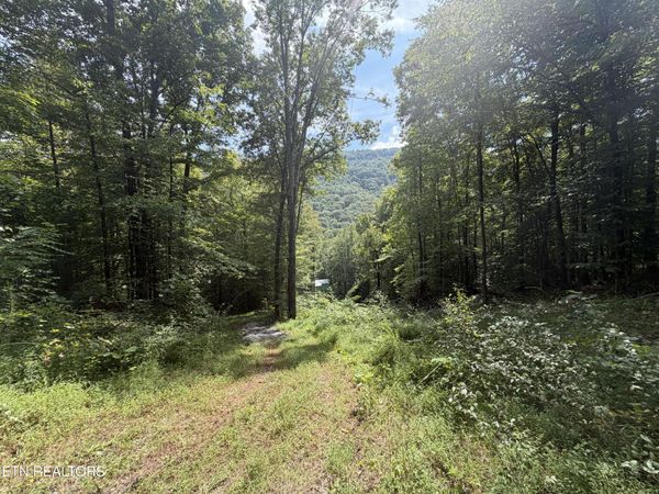 0 Snake Hollow Rd, Sneedville, TN 37869