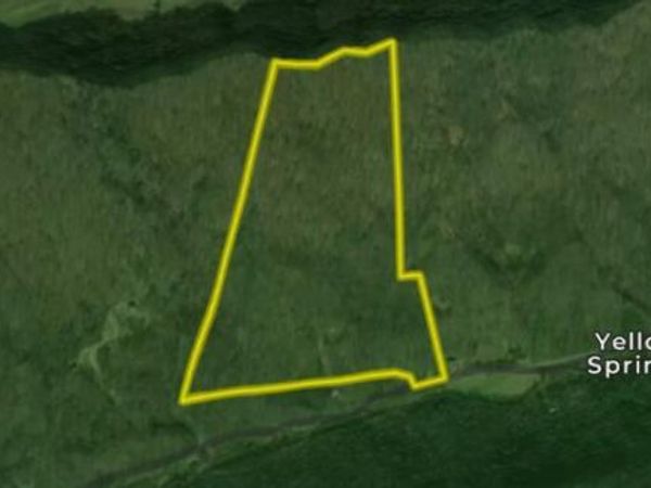 0 Snake Hollow Rd, Sneedville, TN 37869