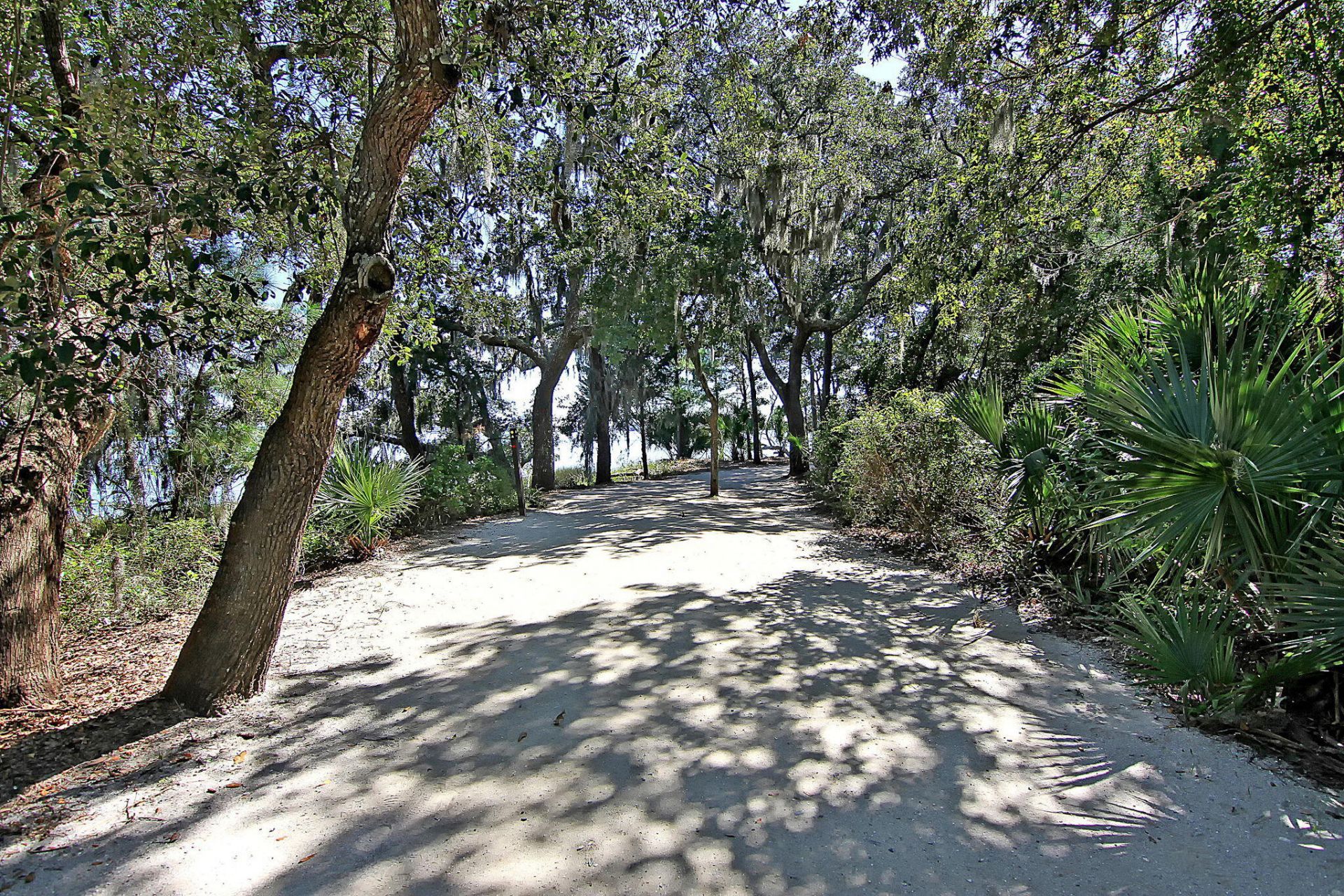 130 River Landing Drive Photo 35