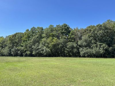 371 Austin Swamp Lane, Ridgeville, SC 29472