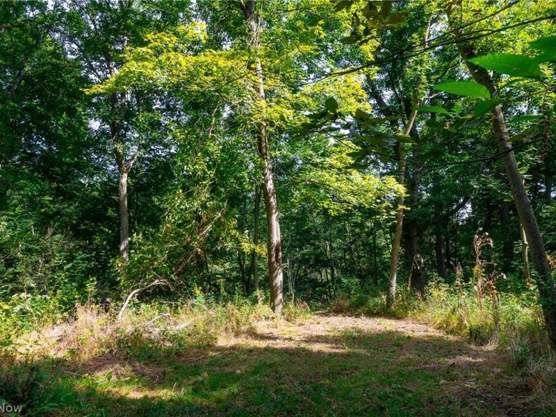 14425 Township Road 467, Lakeville, OH 44638 Photo 10