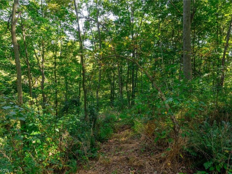 14425 Township Road 467, Lakeville, OH 44638 Photo 12