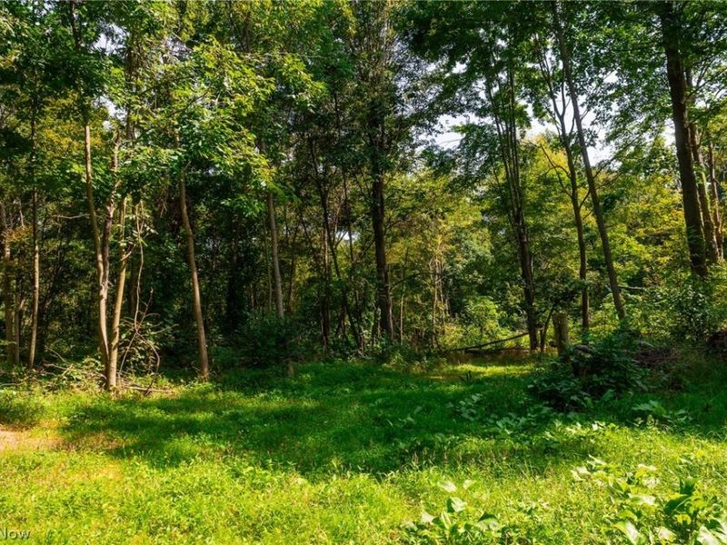 14425 Township Road 467, Lakeville, OH 44638 Photo 22