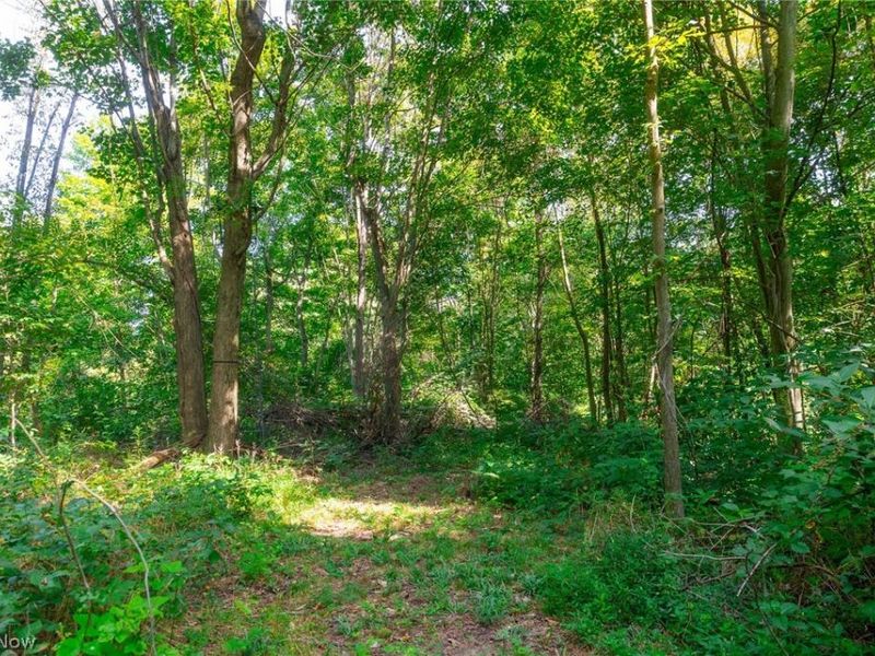 14425 Township Road 467, Lakeville, OH 44638 Photo 23