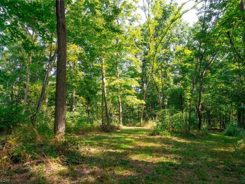 14425 Township Road 467, Lakeville, OH 44638 Photo 6
