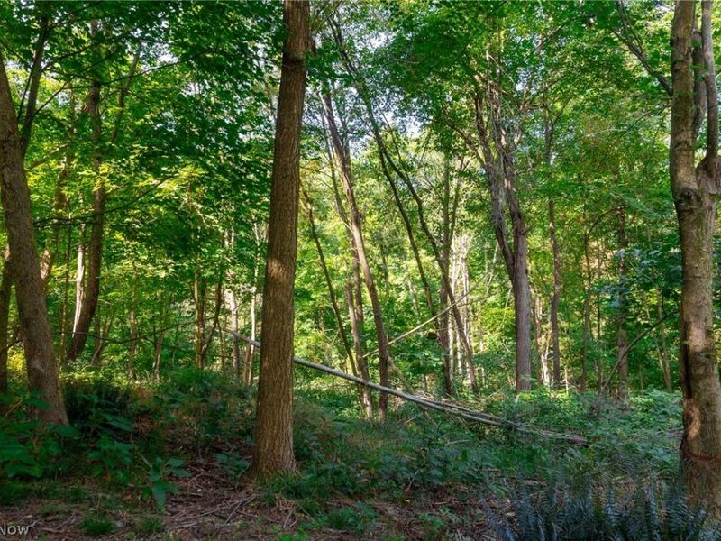 14425 Township Road 467, Lakeville, OH 44638 Photo 8