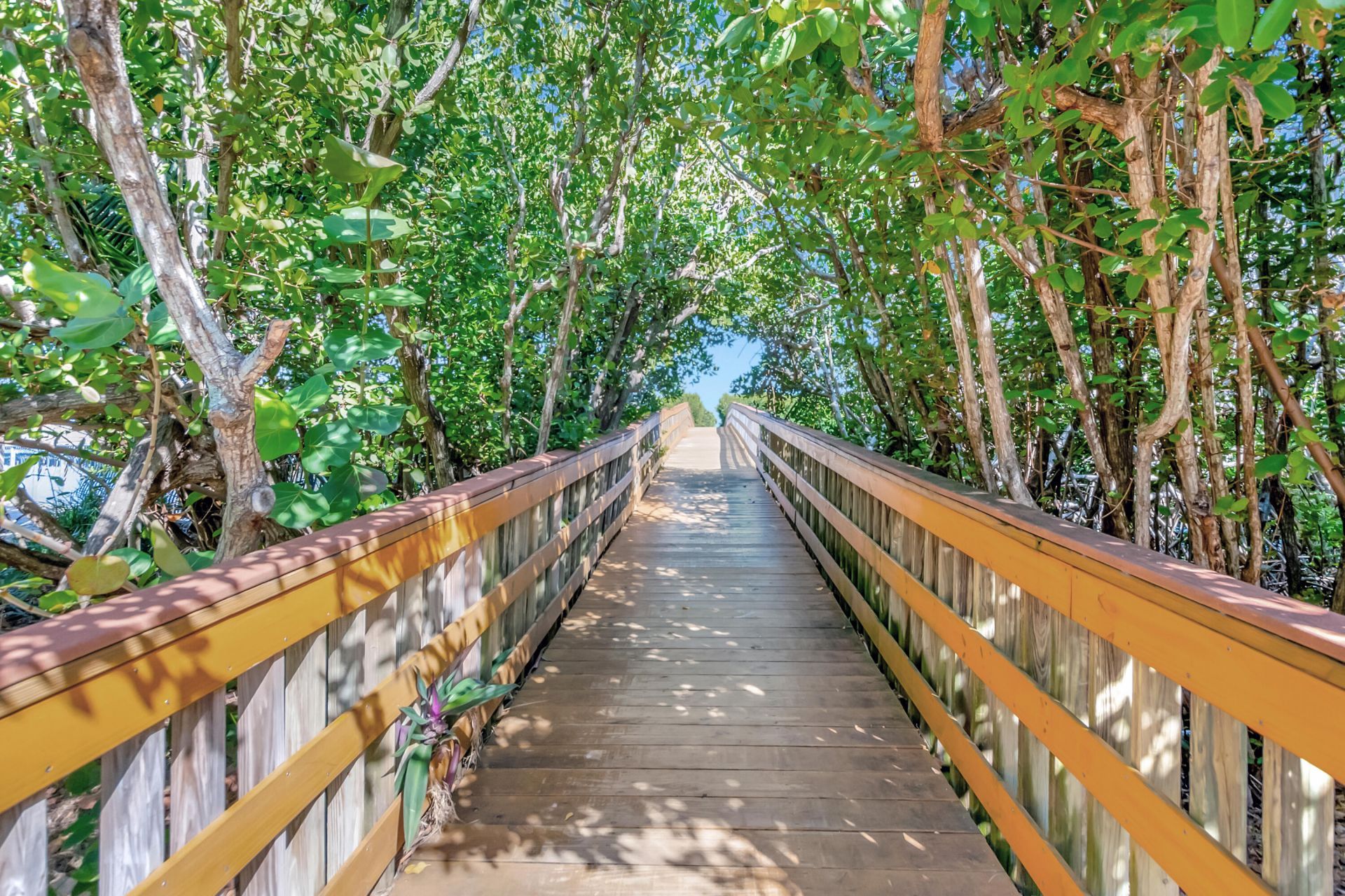 1776 Bay Drive, Pompano Beach, FL 33062 Photo