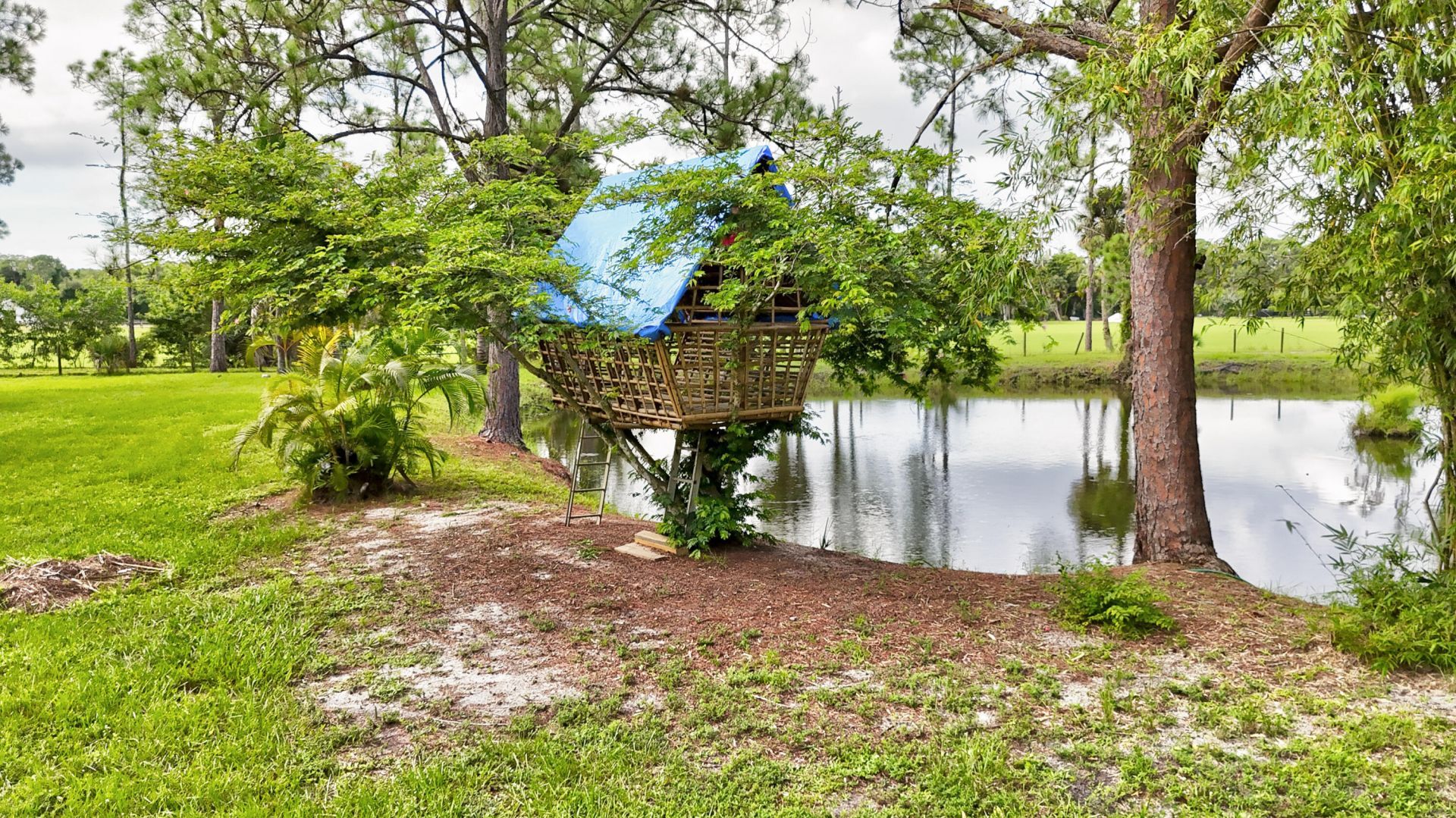 1616 E Road, Loxahatchee, FL 33470 Photo