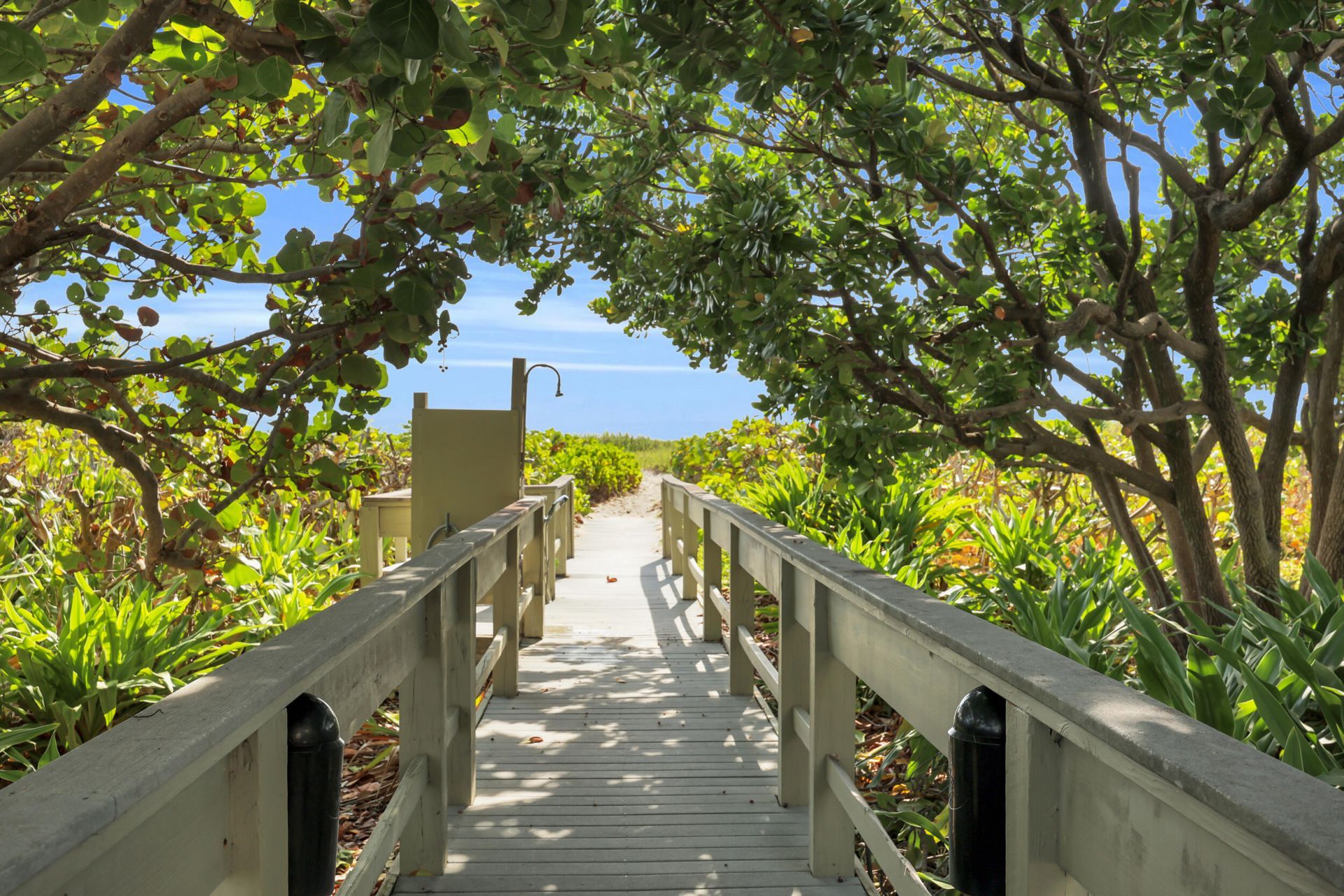 3400 N Ocean Avenue, Unit 1605, Singer Island, FL 33404 Photo