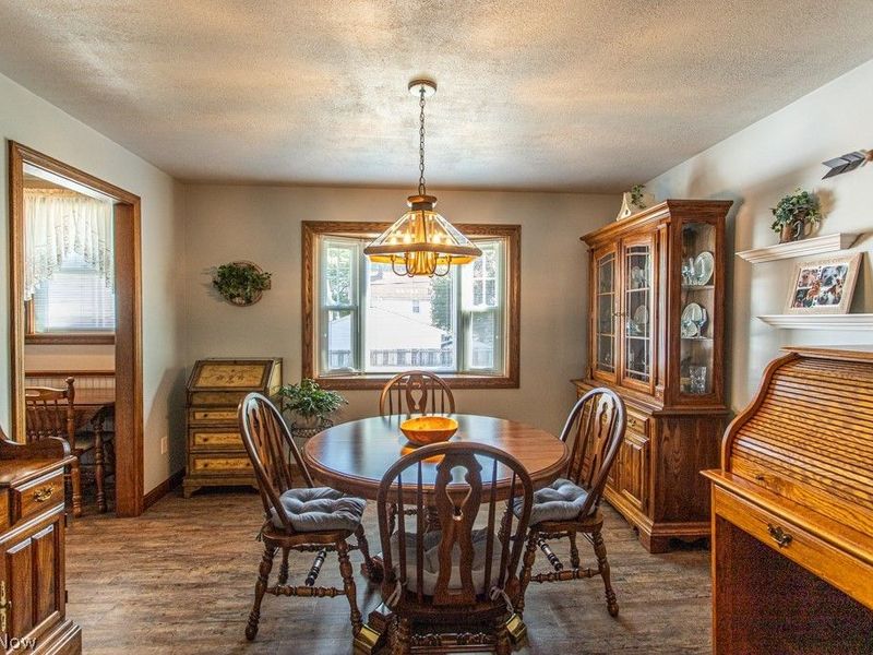 353 Grant Avenue, Mc Donald, OH 44437 Photo 8