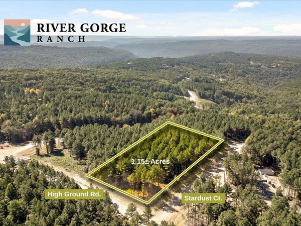 2002 Stardust Court , Unit 2002, Guild, TN 37340