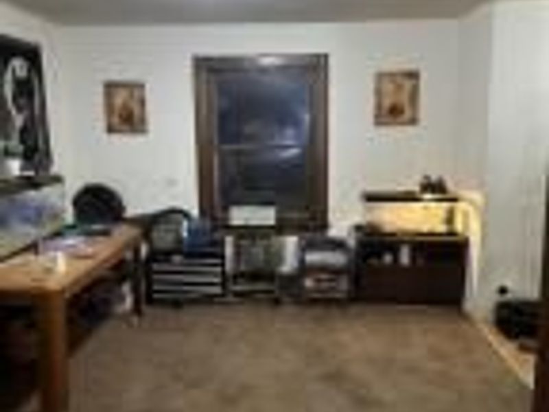 438 S Eureka Avenue , Columbus, OH 43204 Photo 6