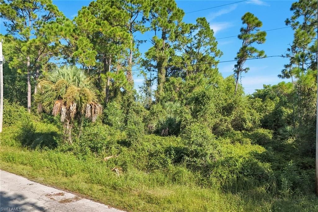 647 Parkdale Blvd, Lehigh Acres, FL 33974 Photo