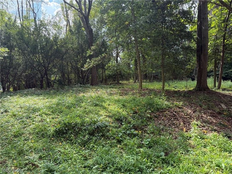 1700 Holly Drive, Kent, OH 44240 Photo 8