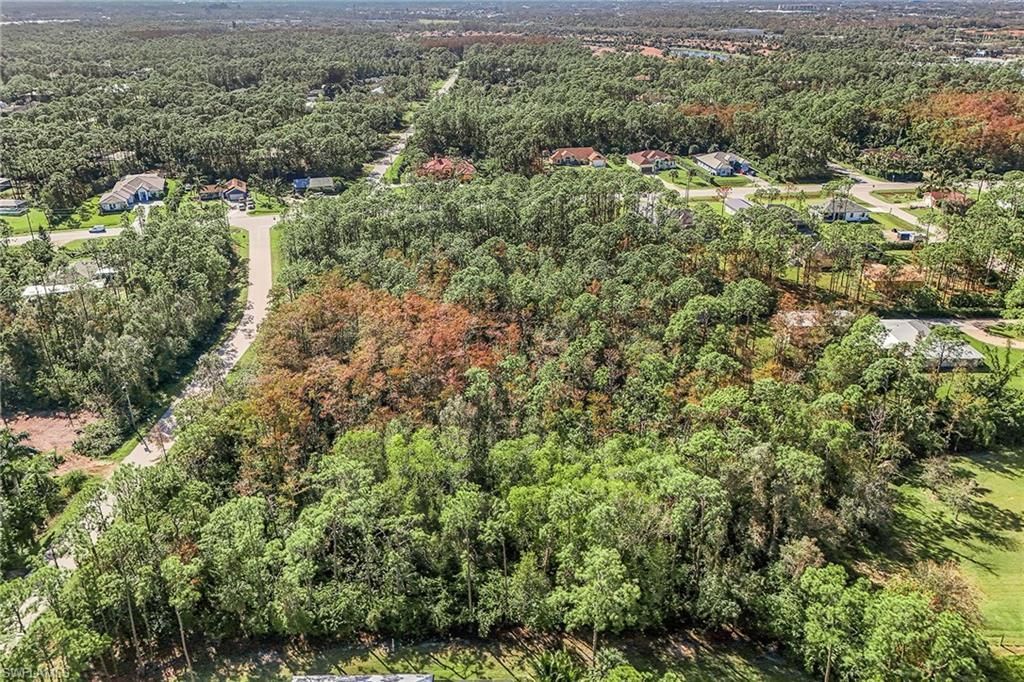 24742 Claire St, Bonita Springs, FL 34135 Photo