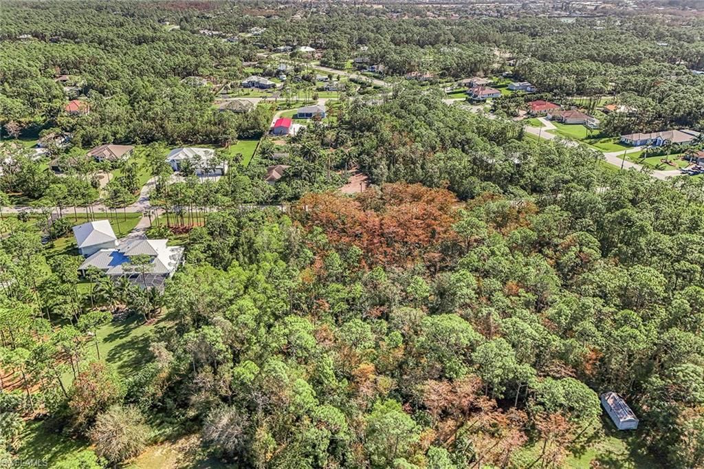 24742 Claire St, Bonita Springs, FL 34135 Photo