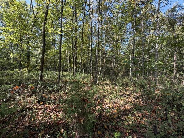 22.35 Ac Moor Knob Rd, Allardt, TN 38504