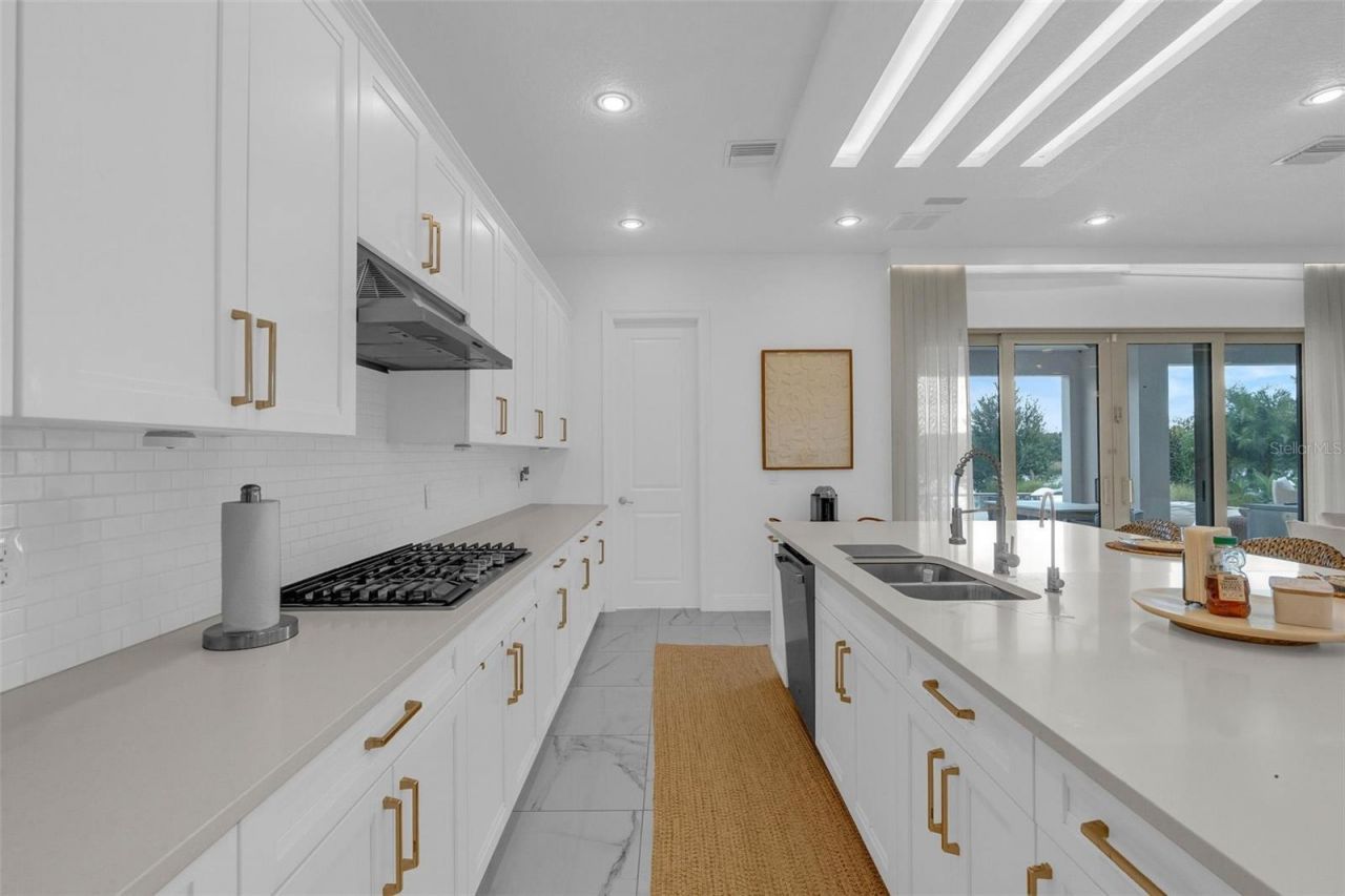 15675 Panther Lake Drive, Winter Garden, FL 34787 Photo