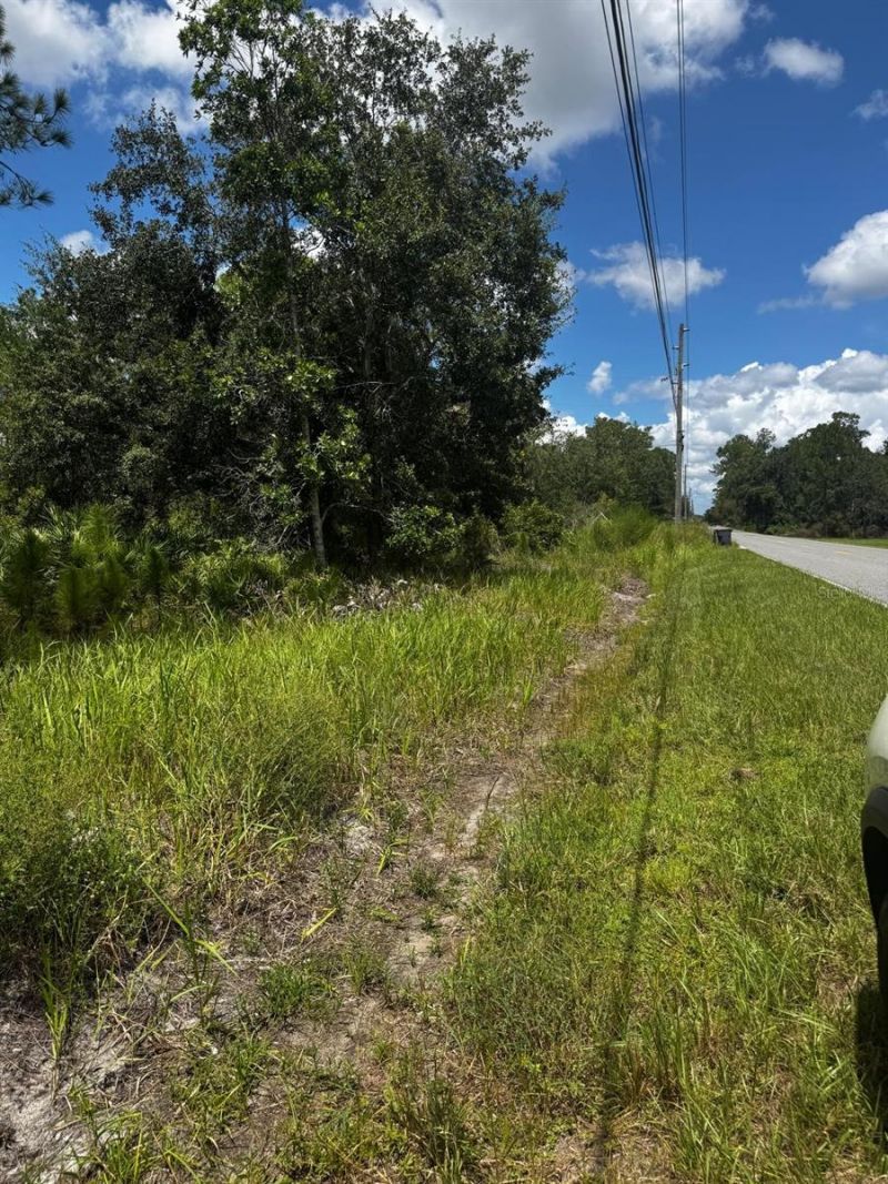 Mcclellan Road, Lot #49, Frostproof, FL 33843 Photo