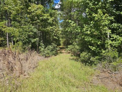 0 Mcalhany Road, Reevesville, SC 29471