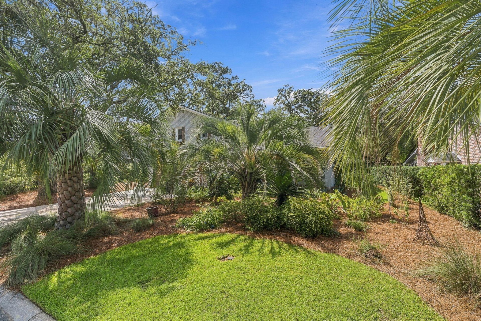 213 Shady Lane Photo 51