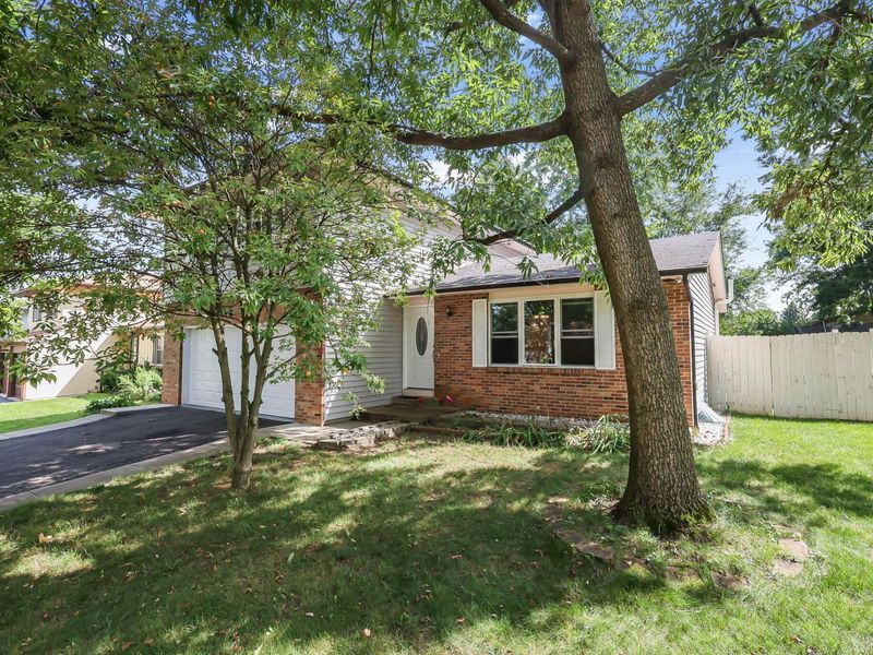 3085 Palomar Avenue, Columbus, OH 43231 Photo 3
