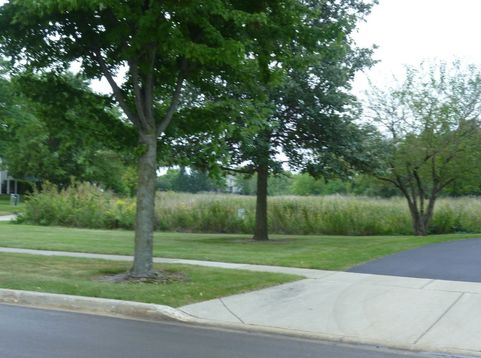 Main Photo