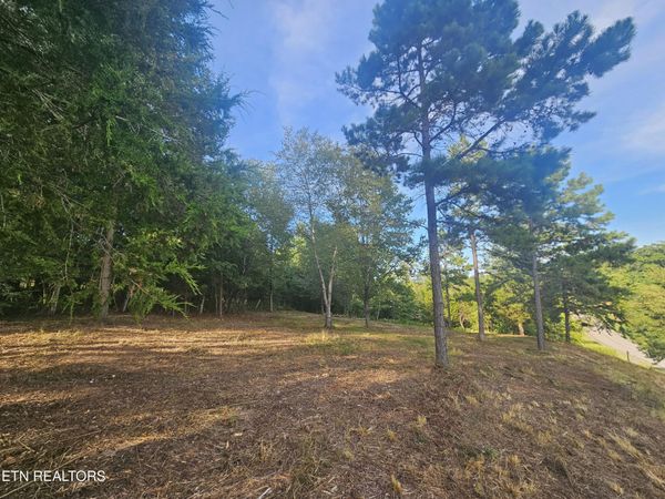 103 & 105 Docks of the Bay Drive, Rockwood, TN 37854