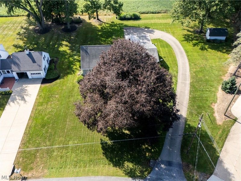 1679 Westwood Circle, Wooster, OH 44691 Photo 26