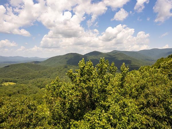 LT M177 Walnut Ridge, Ellijay, GA 30536