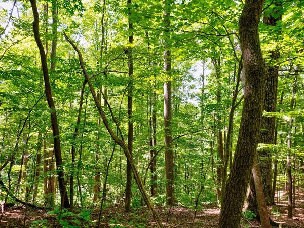 LT J351 Mountain View Court, Ellijay, GA 30536