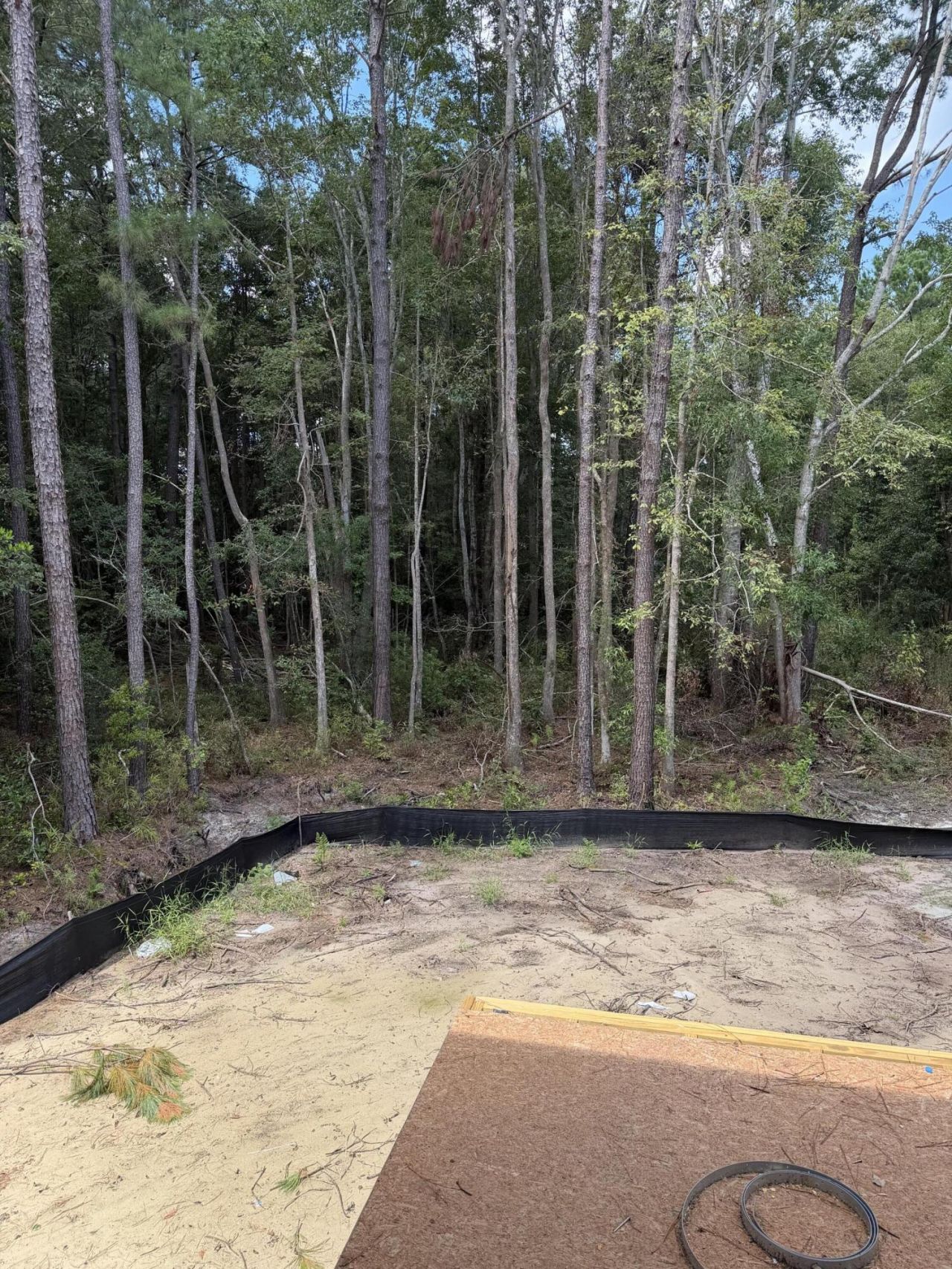 5370 Christian Dawn Drive Photo 6